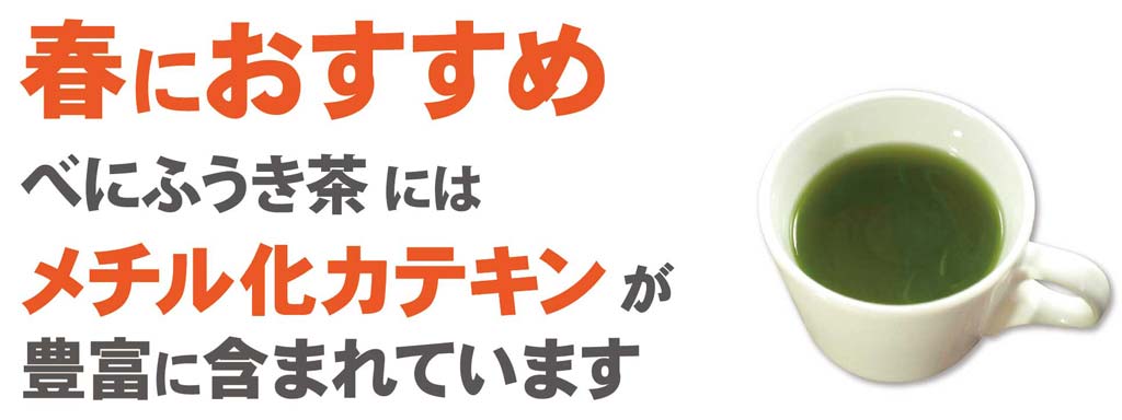 春におすすめ　メチル化カテキンが豊富